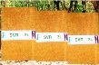 Xuất khẩu cao su tăng về lượng nhưng giảm về kim ngạch